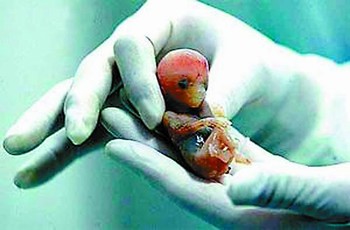 男科专家